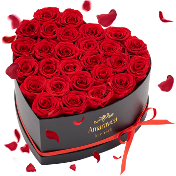 Coffret Coeur de 27 Roses Rouges Conserves