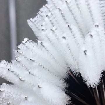Biodegradable Disposable Nylon Eyelash Extensions Wands with Cleansing Mascara Brushes