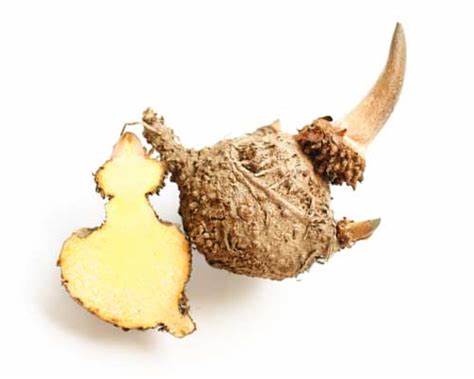 konjac glucomannan for health