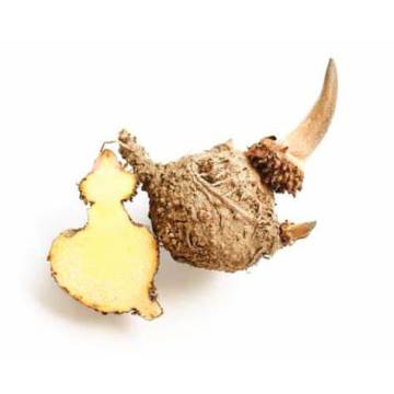 Natural Konjac Gum 95% Glucomannan