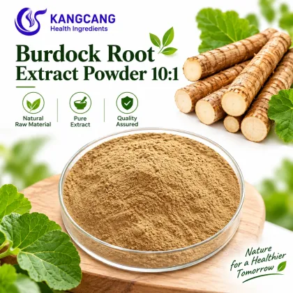 Burdock Root Extract Powder 10:1