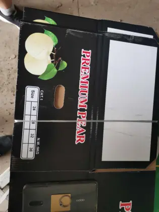 Fresh Gloden Crown Pear