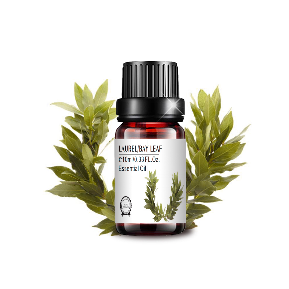 10ml wholesale bulk private label laurel oil bay leaf oil