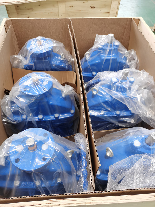 gate valve package4