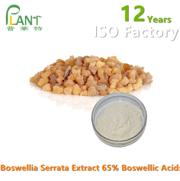 Boswellia Serrata Extraktpulver 65% 90% Boswelliasäure