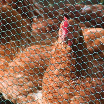 PVC Coated Chicken Livestock Wire