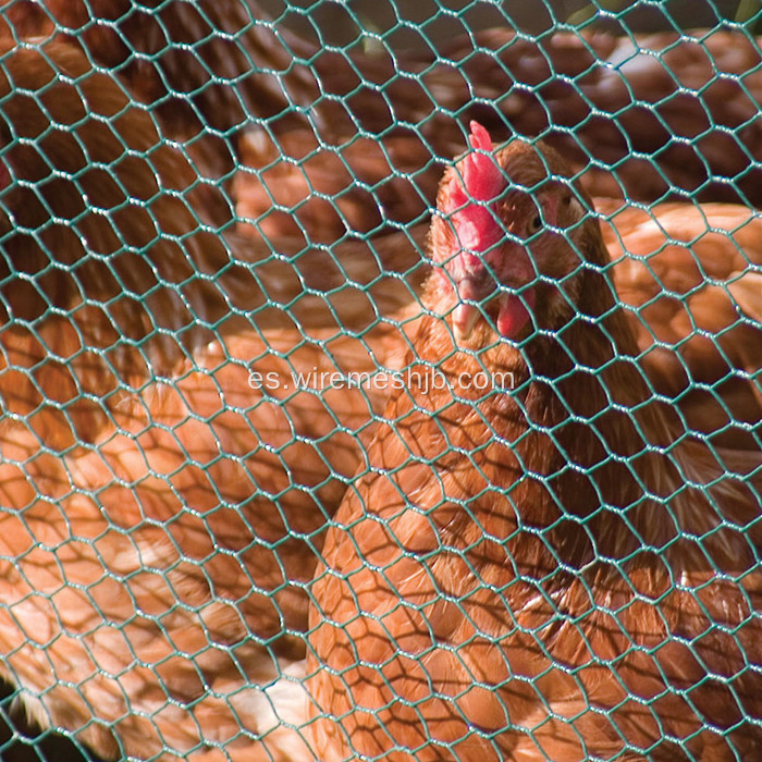 Alambre de pollo recubierto de PVC