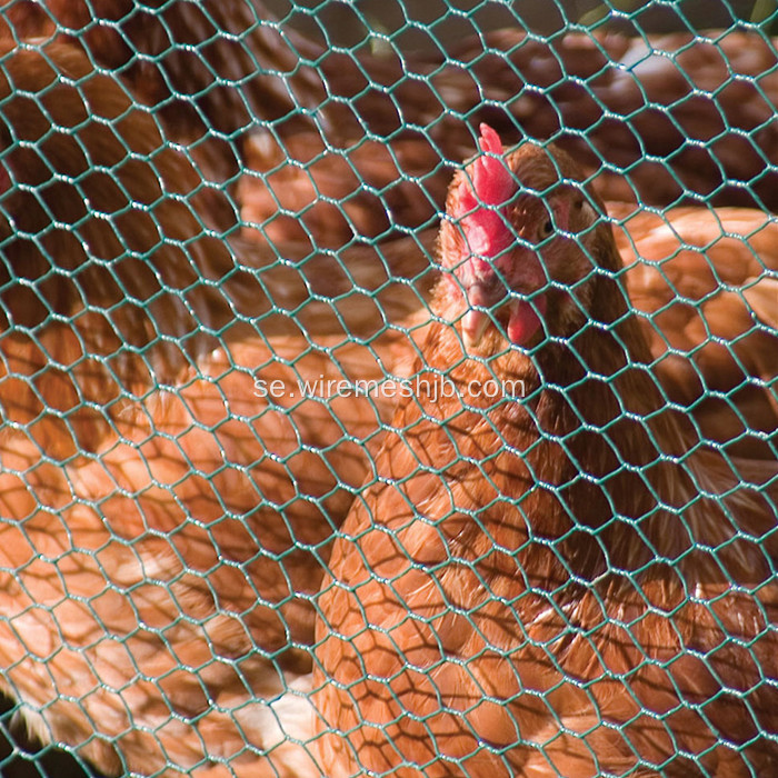 PVC-belagd kycklingboskap