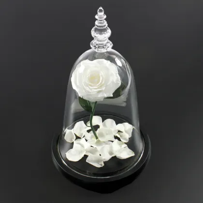Preserved Rose with Fresh Stem: Beauty and the Beast Theme