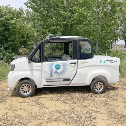 60V 2500W Electric Pickup Trucks