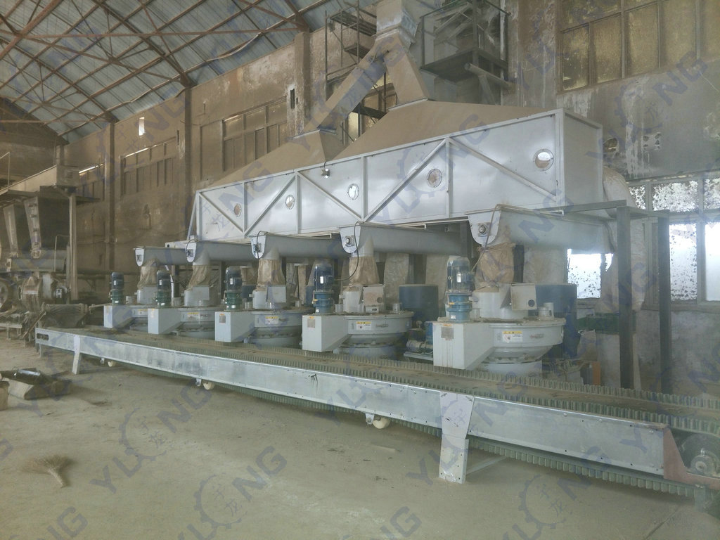 Yulong ring die biomass wood line