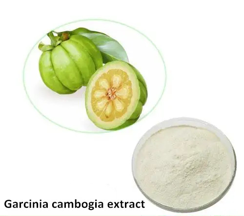 Garcinia cambogia extract