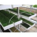 Hydroponic Fodder ProFeed Growing System