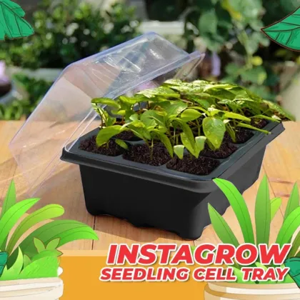 12 Hole Nursery Pots Plant Seed Grows Box Nursery Seedling Starter Garden Yard Tray Hot Nursery Box #25