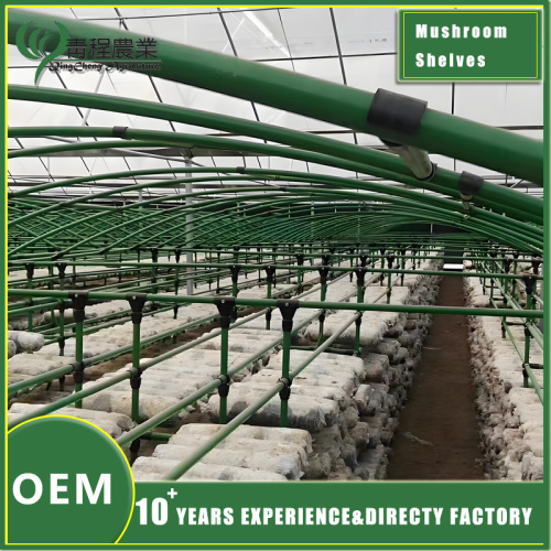 Стэлаж для грыбоў. Аксэсуары для цяпліц