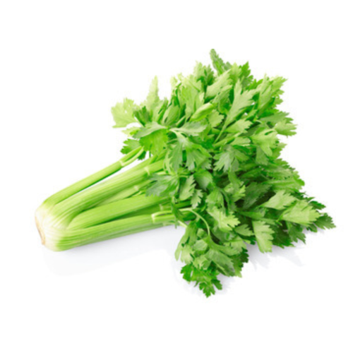 Celery Seed Extract for Blood Pressure Regulation