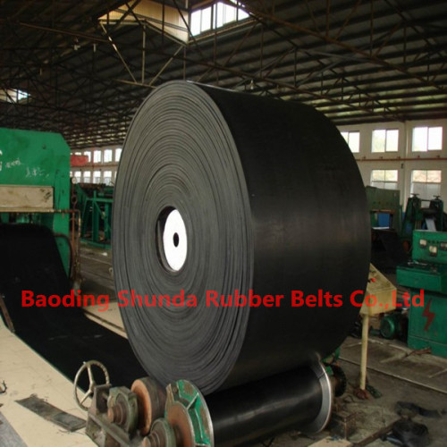 Nylon Conveyor Belt