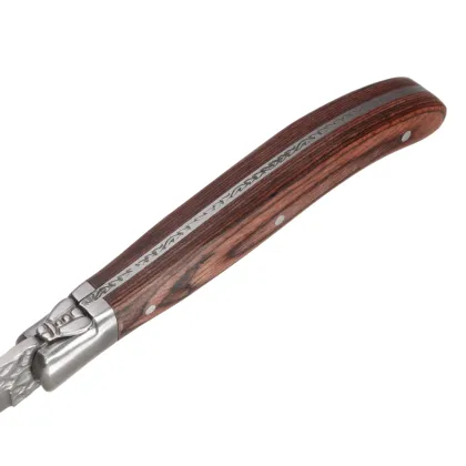 Garwin full tang laguiole steak knife