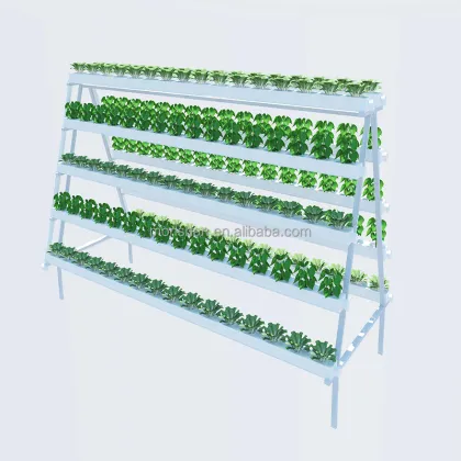 PVC Channel Hydroponic NFT Systems for Leafy Vegetable Growth