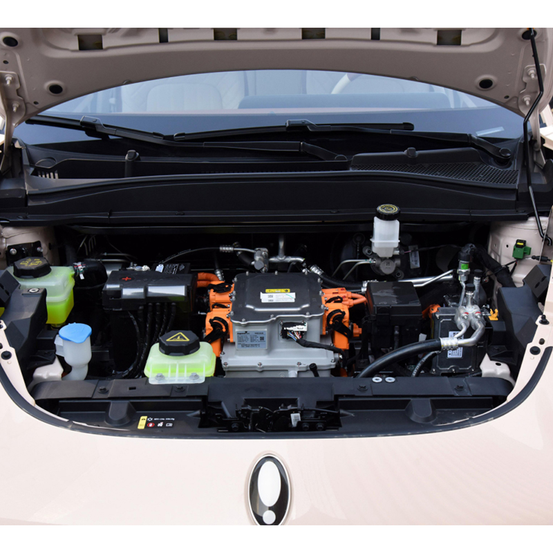 Pure Electric Car Euler Good Cat Pure Electric Car Euler Good Cat