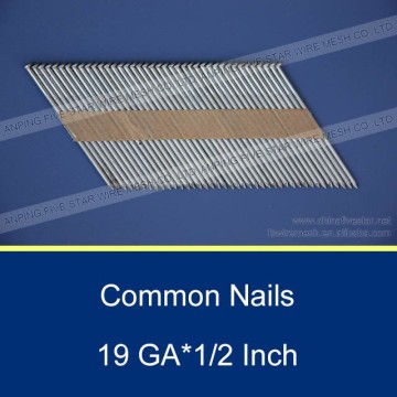 1/2" Common Wire Nails