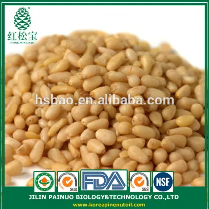 Promotion Grade A Wild Harvest Chinese Red Pine Nut Kernels