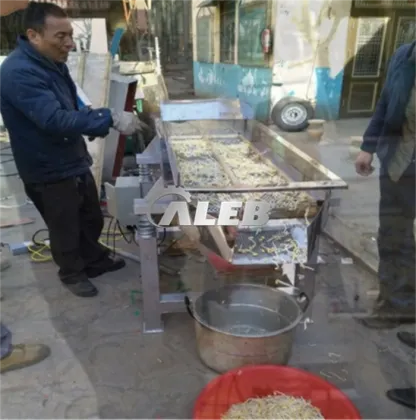 Hot Sale Bean Sprout Cleaning Machine & Mung Bean Sprout Washing Machine: Efficient Solutions for Agricultural Processing