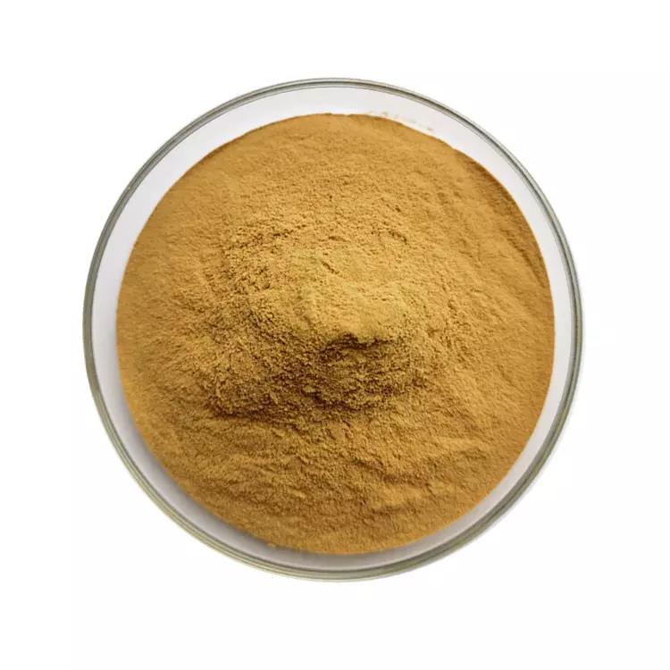 Cassia Seed Extract