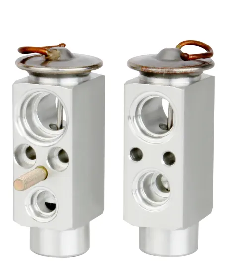 Auto AC Expansion Valve for Chevrolet Astra/Truck Scania/Volvo VNL/Dodge Grand Caravan - OEM 5S013432/20443850