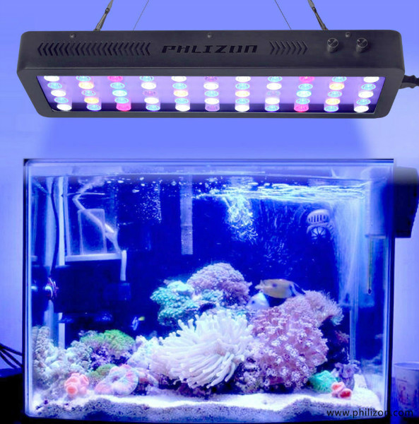 165w aquarium led light for marine fish tank