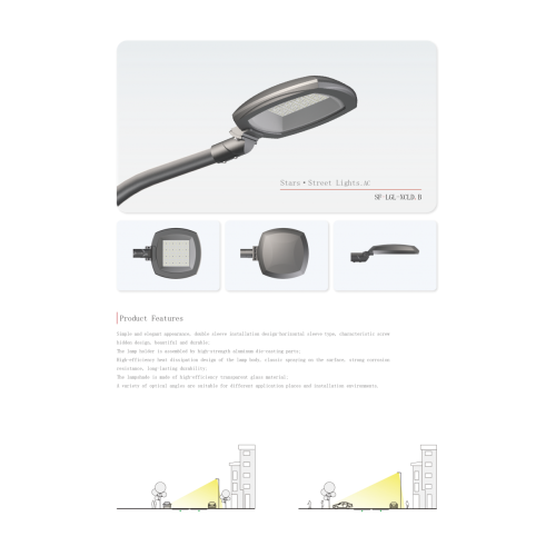 Customized Security Street Light Outdoor led street light