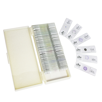 High Clarity Actinomycetes Microscope Slides FRT2003 - 50 Items Bacteria, Fungi & Microbe Cells