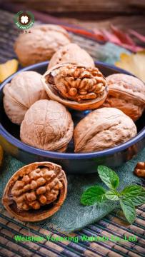 hot sale goods Walnut Kernels light amber halves(LAH)