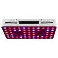 Certificado de 1000 W Cob Led Grow Light Etl