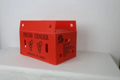 Air Dried Ginger with Global Gap