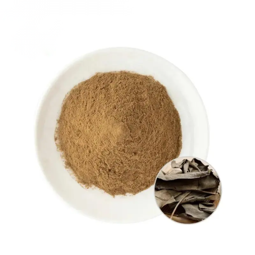 Plant Extract Powder Natural Kacip Fatimah Extract