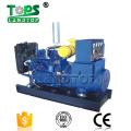 Global Warranty Silent Diesel Generator Price with ATS