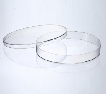 Disposable Petri Dish 150mm x 15mm