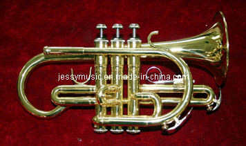 C Key Cornet (JCRC-110)