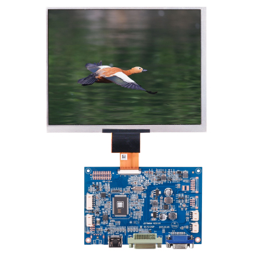 8 Inch TFT LCD Display Module with DVI/VGA/CVBS Interface