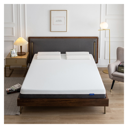 Matelas à mémoire de mousse à mémoire de 30 cm matelas en tissu imperméable