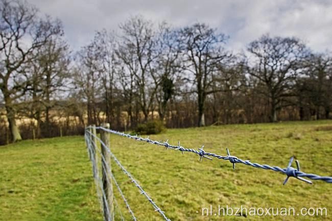 Heet gedempte gegalvaniseerde prikkeldraadprijs per rol