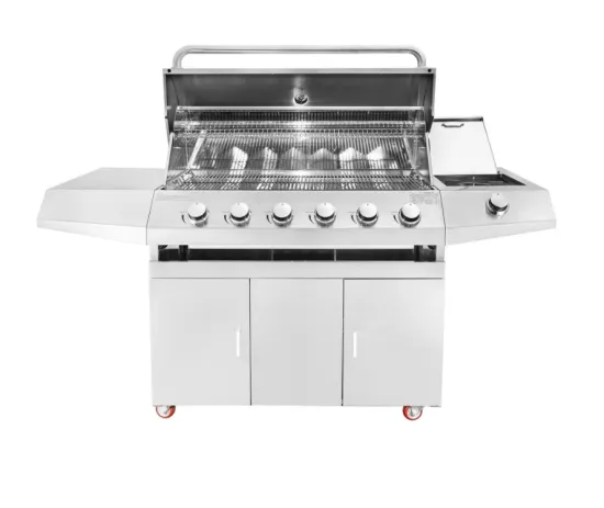 BBQ Gas Grill For Everyday Quick Grilling