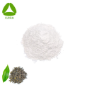 Organic Supplements Green Tea Extract EGCG 98% Powder