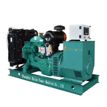 SHRAISE 10kW/10kVA Silent Diesel Generator for Whole House Backup