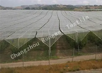 Custom Apple Tree Protection Anti-hail Net / Anti -bird Net