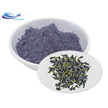 Organic Butterfly Pea Flower Powder Butterfly Pea Blue