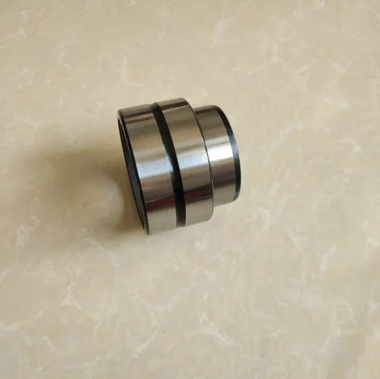NKIS Entity Bushed Needle Roller Bearings