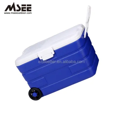 Plastic Eskimo Cooler Box Thailand" could be refined to something more search-engine friendly like:

"Eskimo Plastic Cooler Boxes for Sale in Thailand