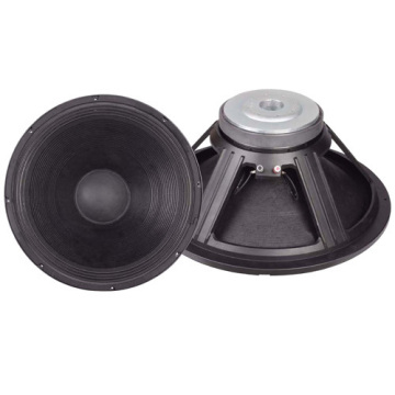 18-21 Paper Cone Pa Woofer 